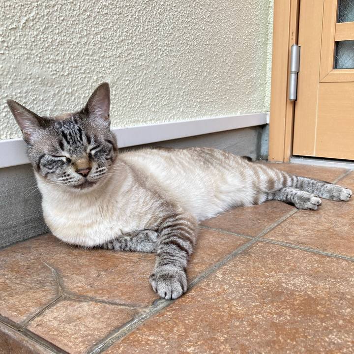 60ac0fce 8877 4bcf 9a7e befb3f763946 1757555865231