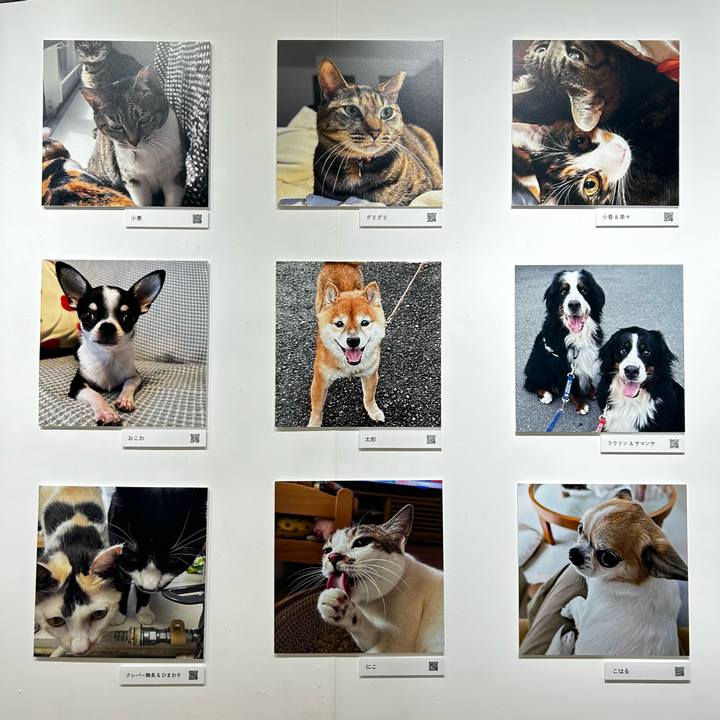 60ac1d2b 5219 4ddd a85b 1cbe8e6a2a89 1762060428267