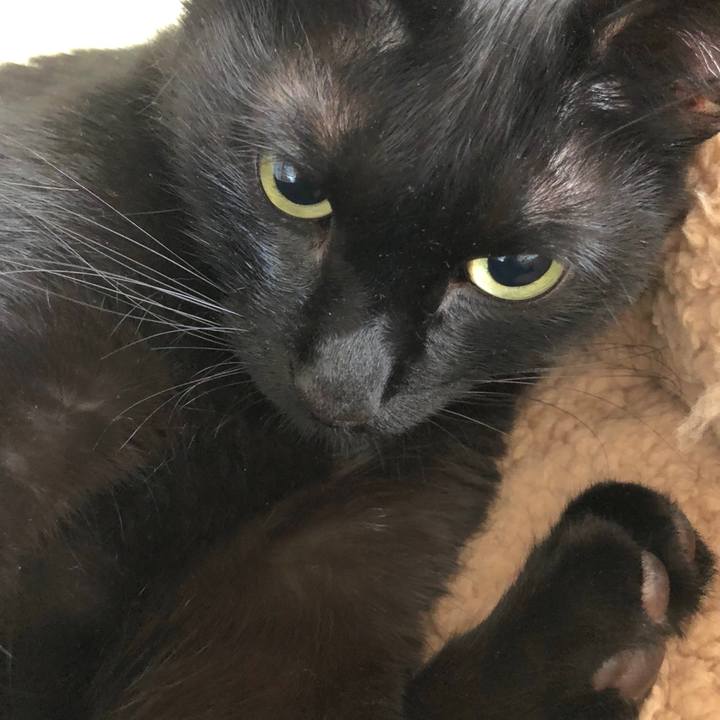 60ac2699 f67c 48a1 8ed6 087358fd6897 1525488785500