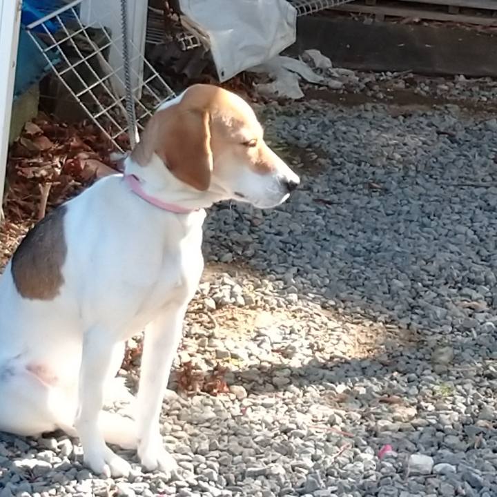 60ac2edb 6859 4d34 9e5c dbf2fe20a87a 1578455511255