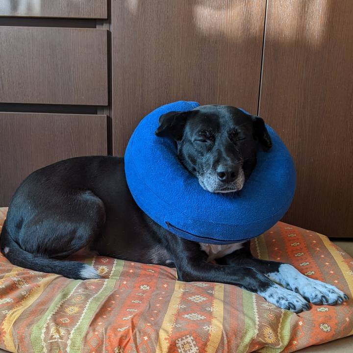 60ac42e2 ea76 488e 8501 6d08f8a1cb44 1700091727377