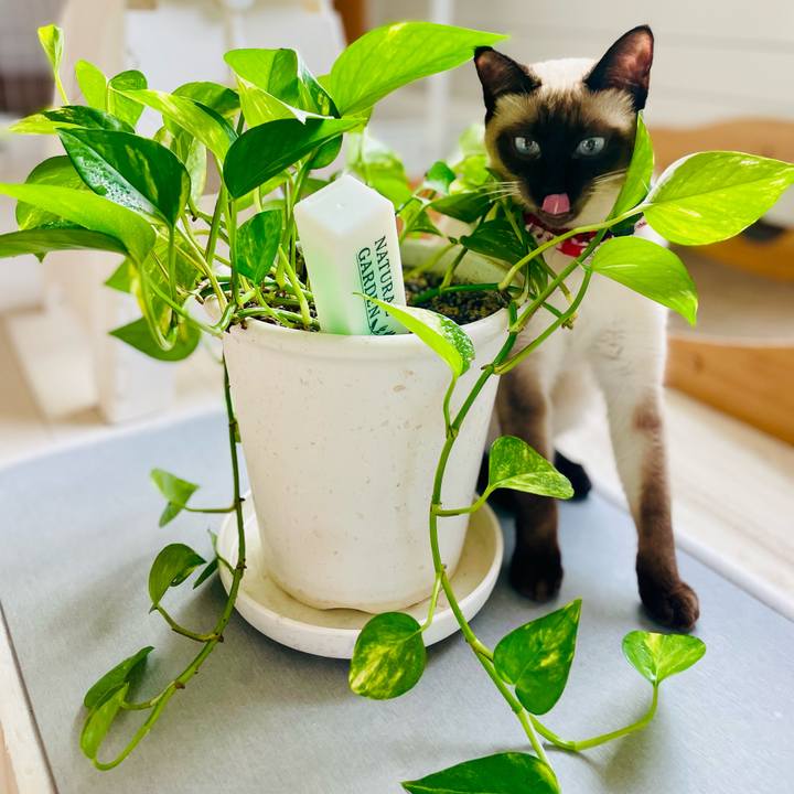 60acb13a 66e3 4592 8a6f ed6d4ac6b661 1706312761095