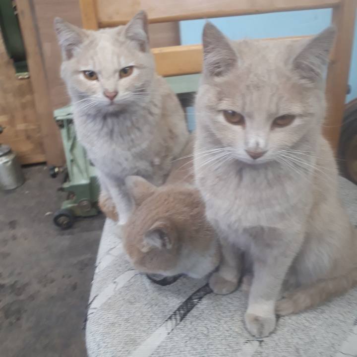 60acb8b5 3033 4e3c a3cc ac7c598586ed 1648895623554