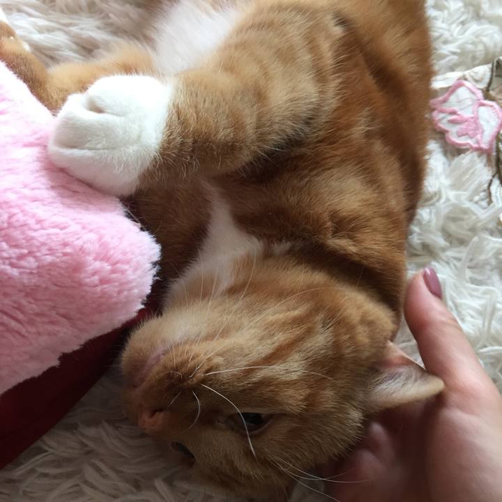 60ad647e 04ff 4dff 82f9 e6e50c84e908 1559853705413