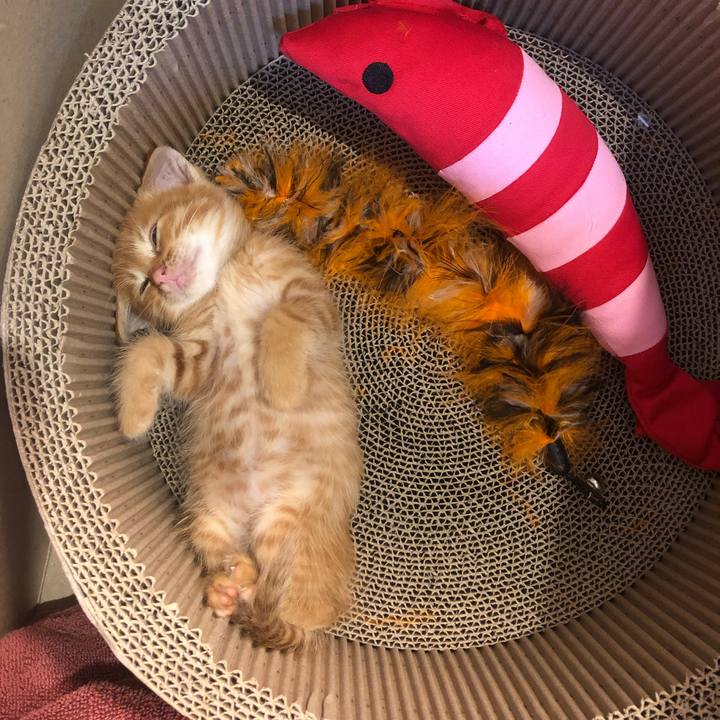 60ad8637 da65 497e b574 08ac02382183 1628070312105