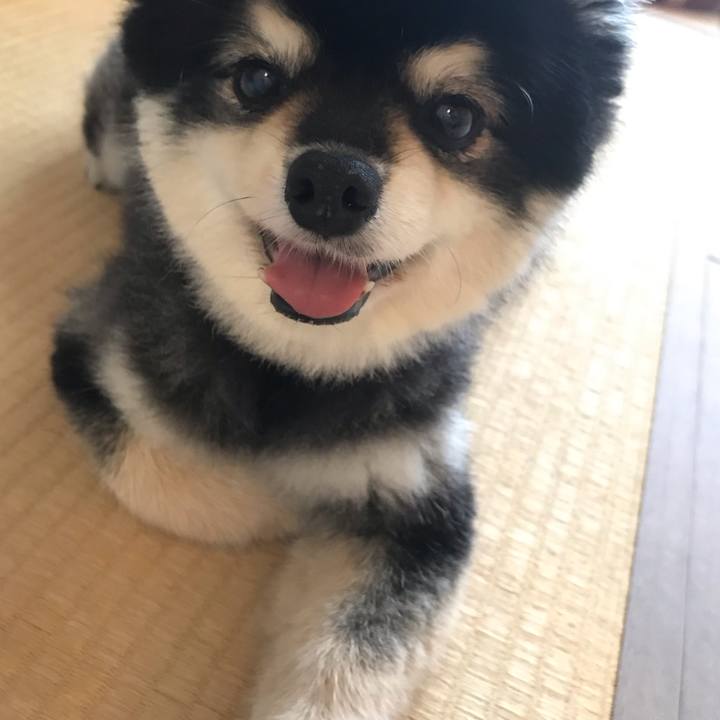 60adaac6 2739 468f b8e3 60ea21fa0e30 1597453341679