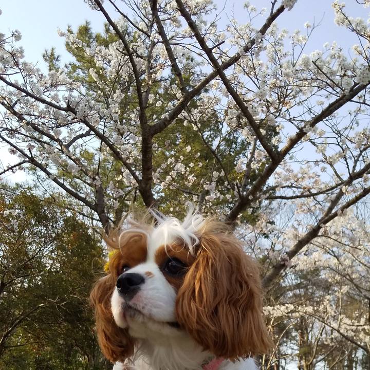 60adbe97 0734 4e7a a83c 95c352f4ae12 1585902624944