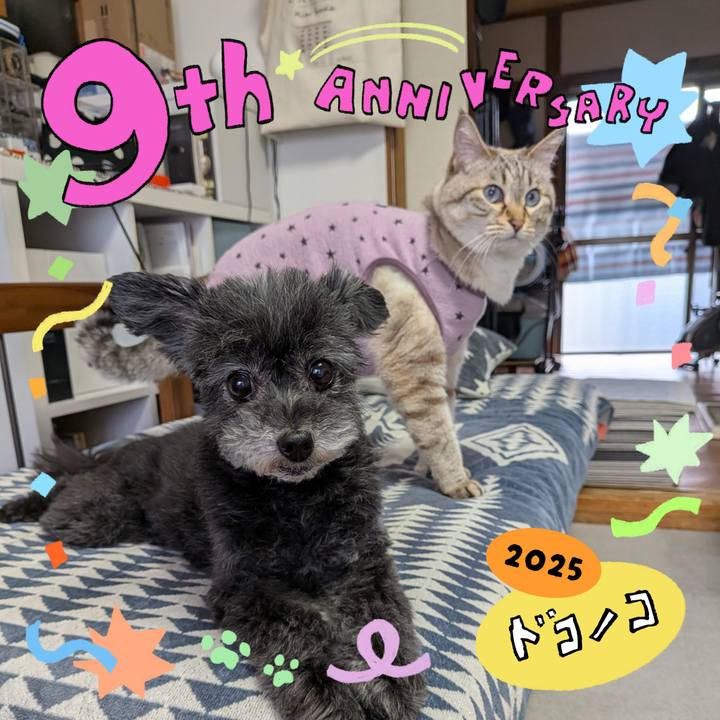 60adcdfd 10c5 487d aed7 f522869c063c 1749092888227