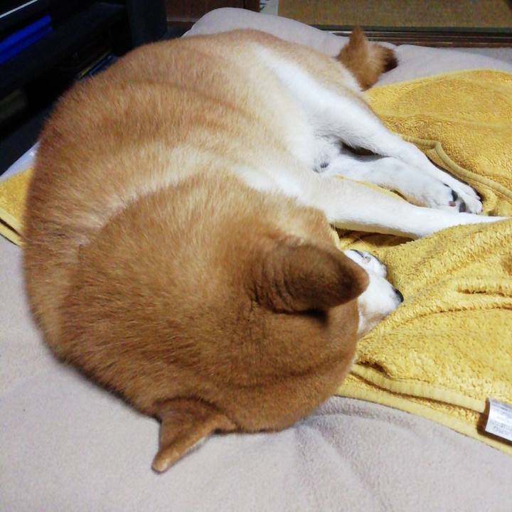 60add510 b387 4071 bf43 33d7d75317df 1635382744284