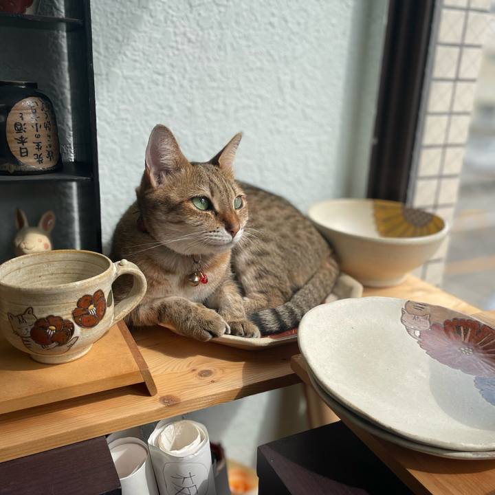 60ae3282 c39f 45dc 960e 52be1db25120 1697256106340