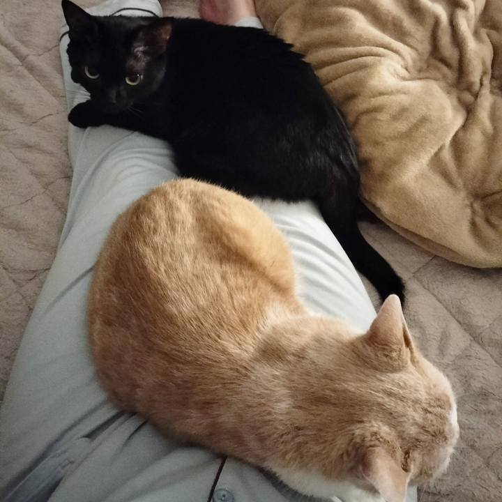 60ae3593 2f9a 4bde bf13 88e49bce5515 1669552278186