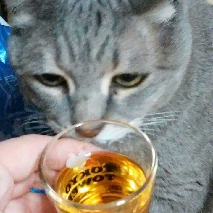 60ae4c00 1c2e 4838 8ea3 bda32e84bb16 1550924750073