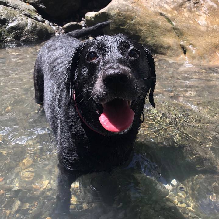 60ae6584 f087 4ee0 86e4 f3f6ae65b495 1534317674172