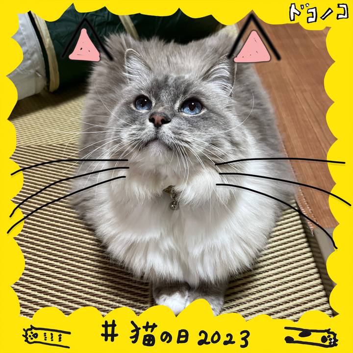 60ae8464 47f8 4665 a8c6 1ea3dbae2788 1677064970423