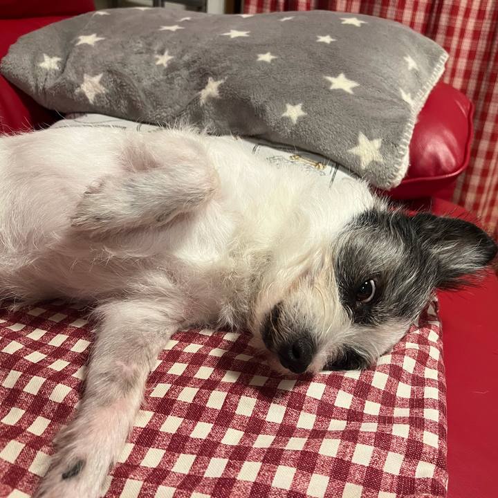 60aea616 65f2 460c 9357 d0bab6703e1f 1758207551131