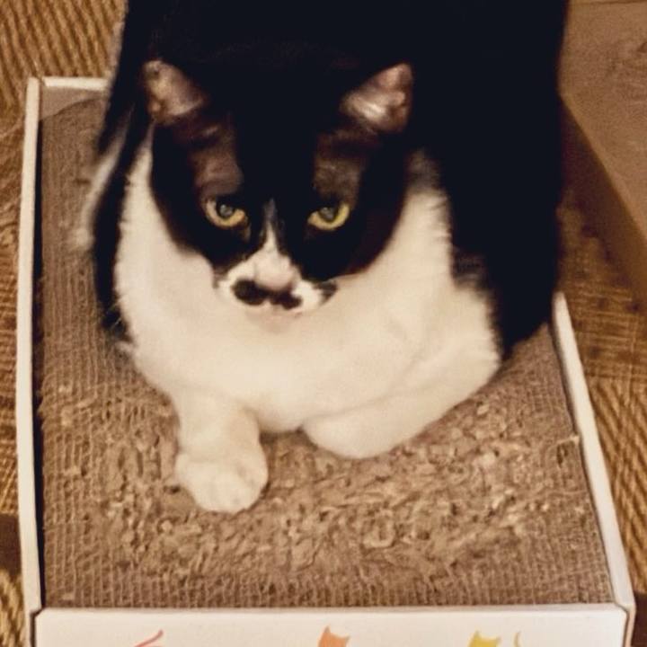 60aeba9c 5a6d 4f60 a3b7 5d18a08a25ea 1747094756744