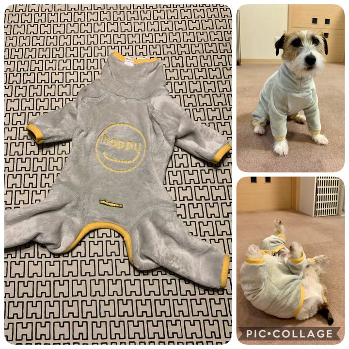 60aedb57 7f78 4b94 9e44 f4a2ad55f659 1611216427424