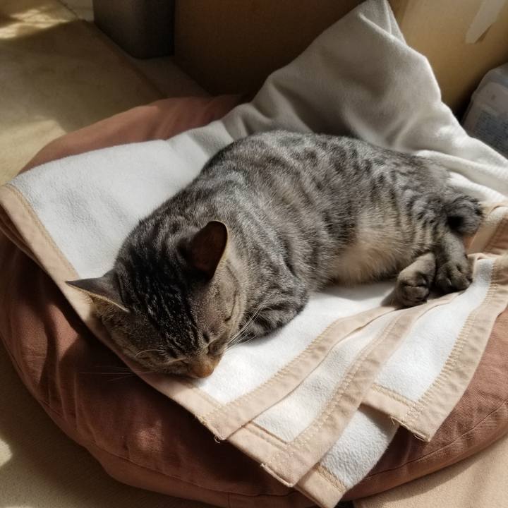 60af2a4d d9ba 451d 872c 0e2375c186e2 1681177331093