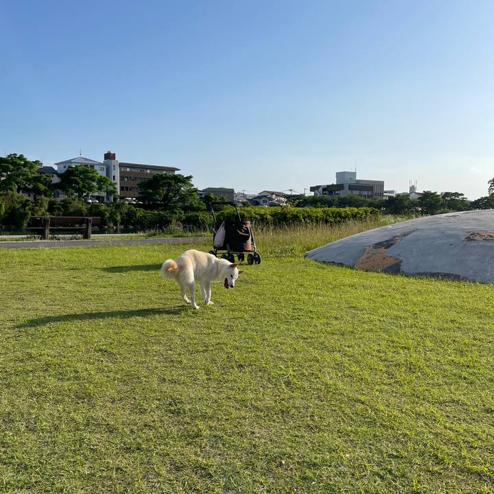 60af64b8 84c4 400c 903a fe5f18a84b4a 1654259413188