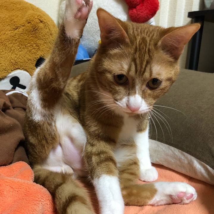 60af9e21 366d 484a 942b e28eb1dd3b45 1557234671781