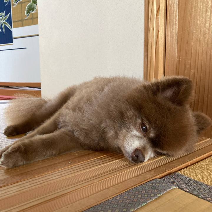 60afb797 ce28 4ef1 b4ae 02714059a454 1663225364248