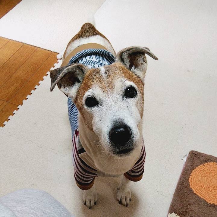 60afc03b 1611 49f3 810d 246246ebe780 1581984367567