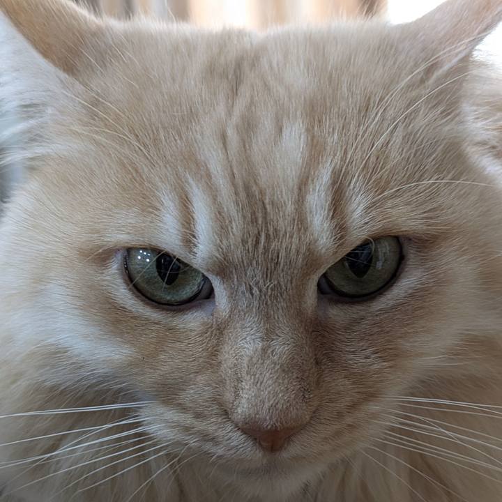 60b06569 45b3 43bd 8b16 e77430d0f9db 1770345947139