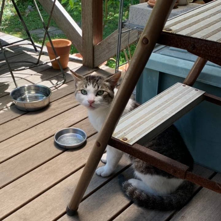 60b08895 e14d 48ca b69b 97be3b49a965 1558497534123