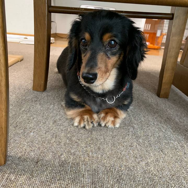 60b0967a 1f02 4e3a bb7f bc7cdc2f7edc 1564004690703