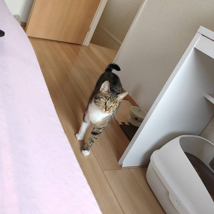 60b0bb4b 52f7 41fc 9aa7 77256d99f056 1662728058552