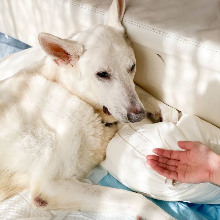 60b106c1 0d7d 491d 862d 48b216af04b0 1603591470390