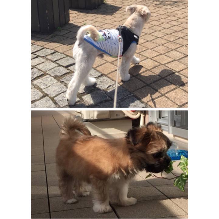 60b11056 fc43 4406 aa0f 6f3ed8cc59c9 1523363489645