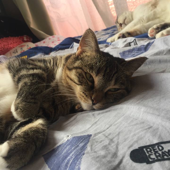 60b11ef4 a339 44ea ac0c 337290628d3e 1564116911549