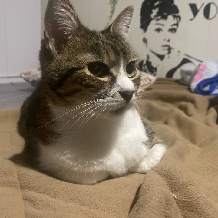 60b12548 a4e2 4f20 b006 f5e722502475 1683938334227