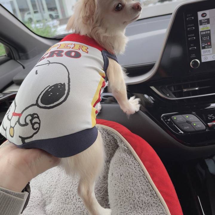 60b178eb 2829 4a67 b12d 8aac9850626e 1727491090479