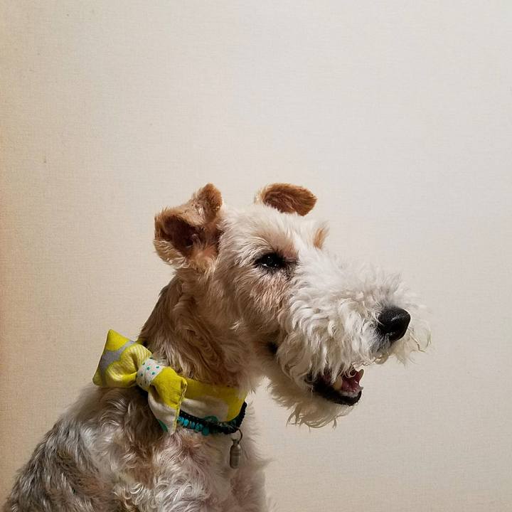 60b1b504 198e 4df2 91cc 74761e3696d9 1531265325869