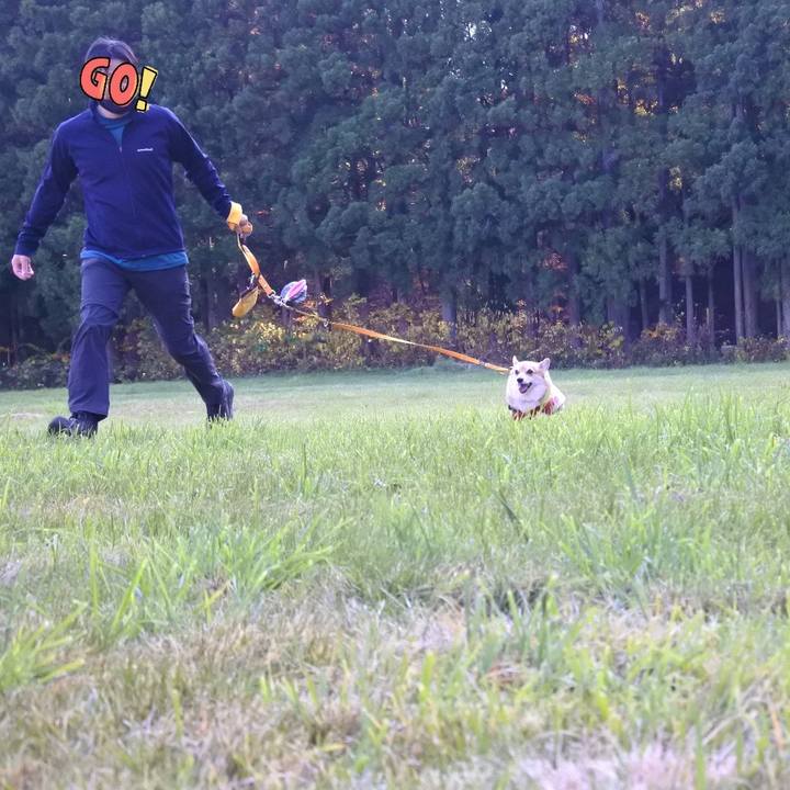 60b1bdfb c6aa 406b 9659 b81ce98b605d 1668836904424