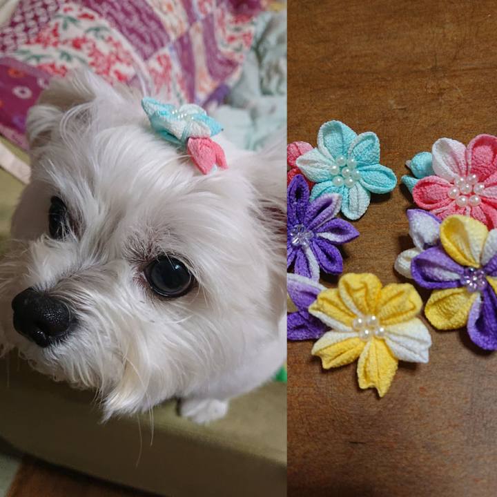 60b1f63b dd32 4838 93b7 1c7f3c650b02 1563023320062