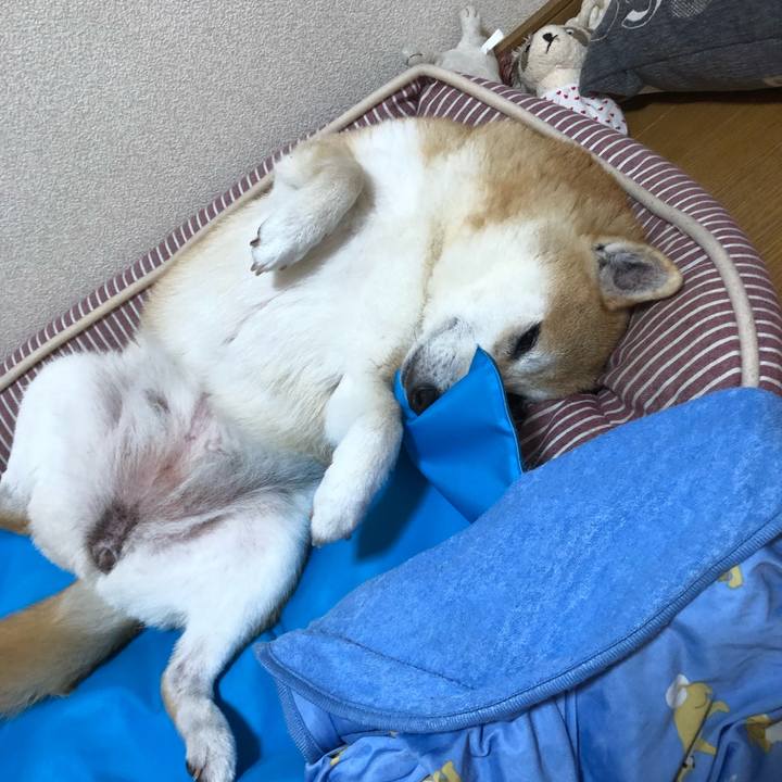 60b218dc 1c3f 4394 bdb3 b4d165e73042 1593260941297