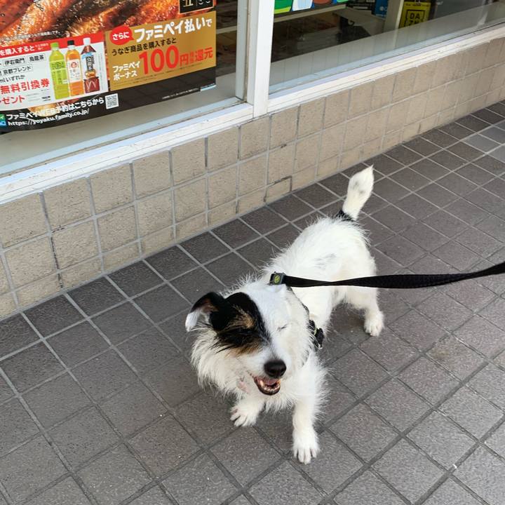 60b219fc d2d5 4602 8b33 2490a2716129 1654128181389