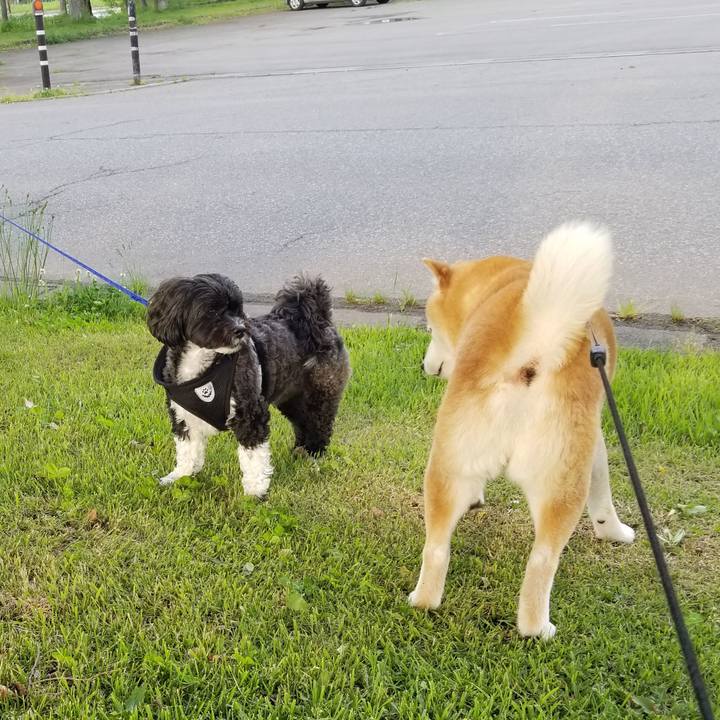 60b21eed 4000 44b4 bccb 9010abdc0f4a 1653466253222