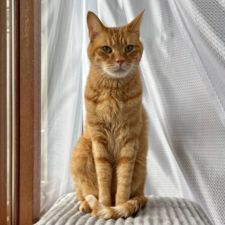 60b22e3d 405b 4ccf 9b4d cda448fc88c4 1773815235972