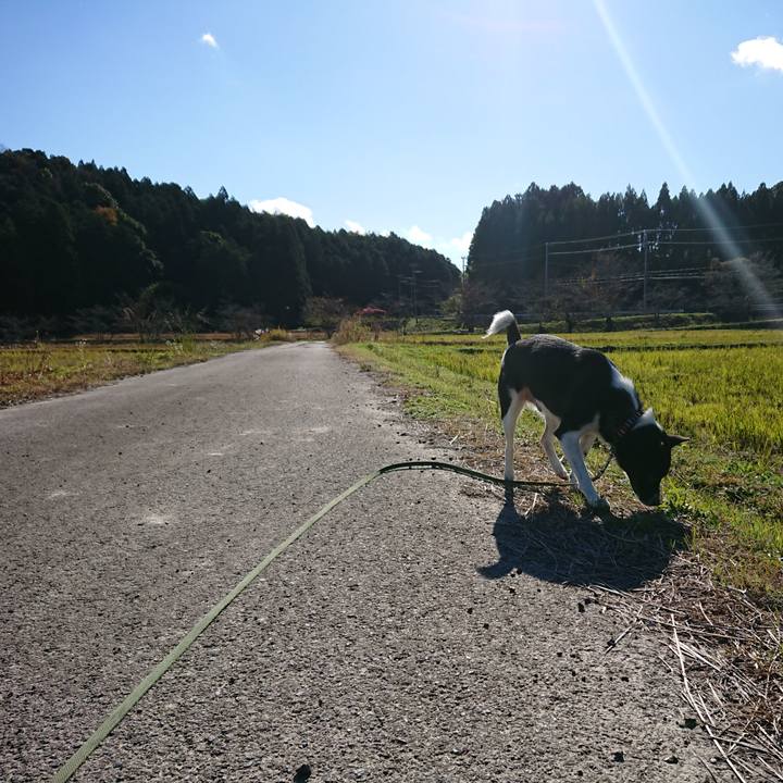 60b2399d 9563 4ce8 b512 d507458ddfc1 1606626811459