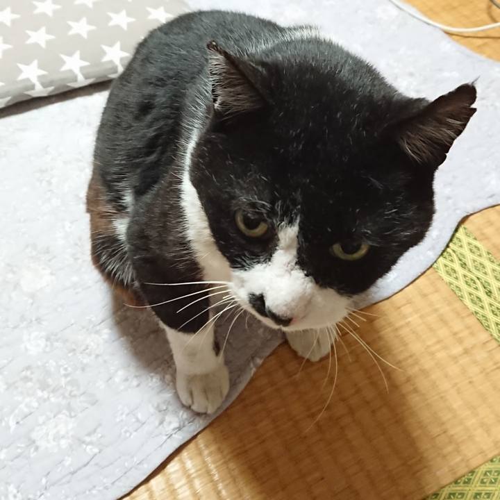 60b2a8f9 9257 4c01 91af 85a8229478a7 1620810112678