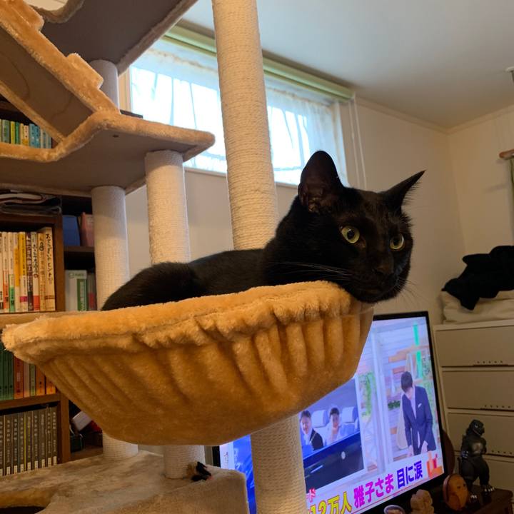 60b2bfad 24e8 4cdd bb6f d0f100eb58a8 1573427735698