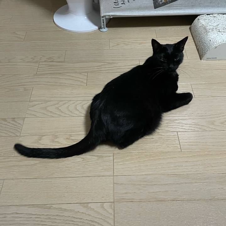 60b2c2c2 c6c8 4016 be38 ac7da5ca15ed 1763122776811