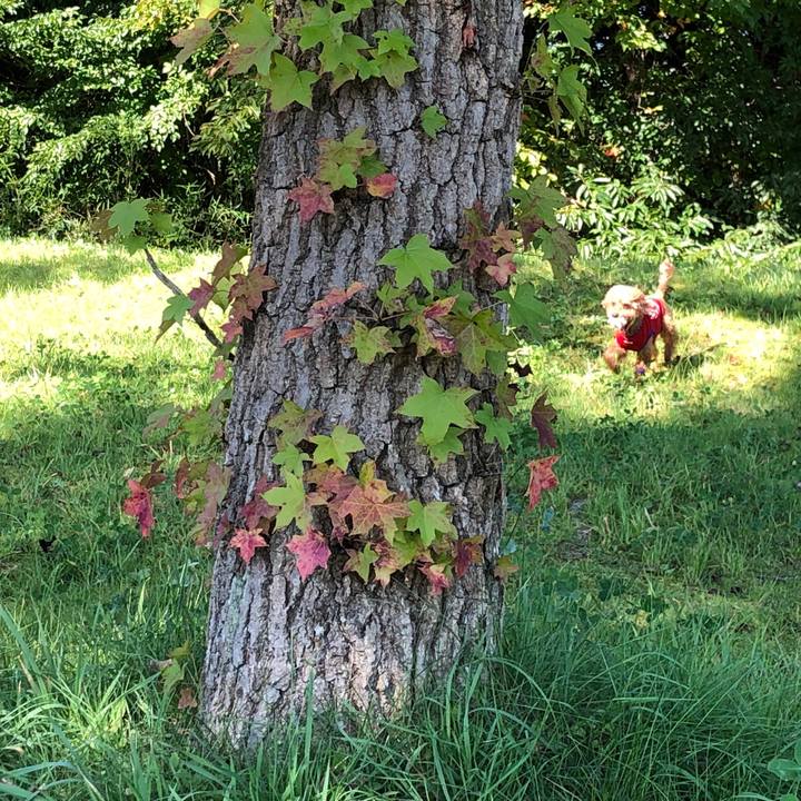 60b2d393 a2b4 4b06 8ebd e53bee138243 1569586853423