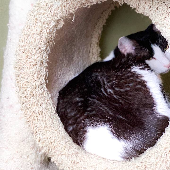 60b2f960 ddc4 4790 b1a6 ec4380928c71 1566176433005