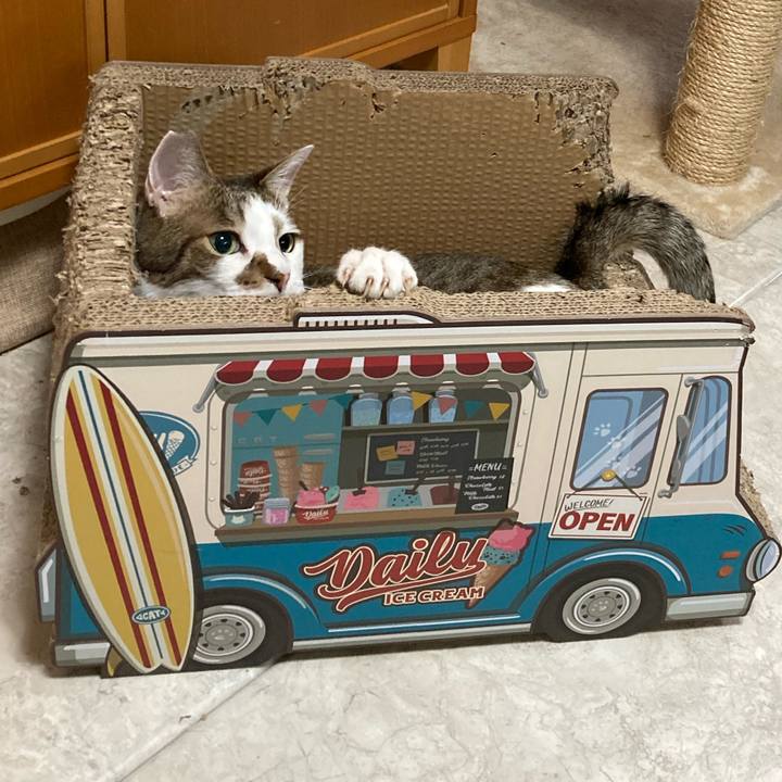 60b31106 0323 4768 b3cc fd60848d526e 1689899455167