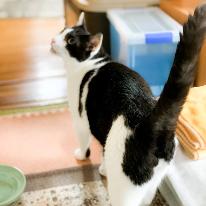 60b34e61 eb16 4b6b b858 88f0e534ffae 1601864026177